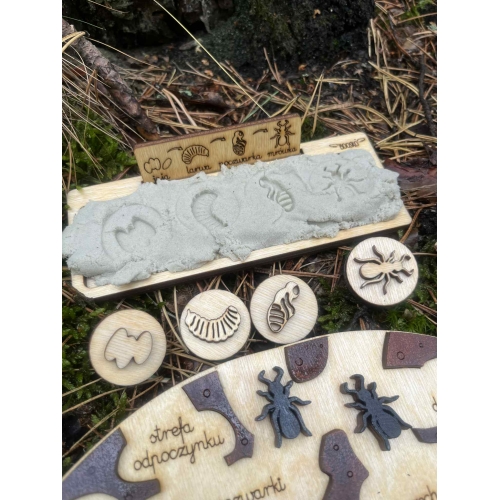 Drewniane Mrowisko (małe )– Edukacyjna Przygoda w Świecie Mrówek! (zestaw malowany)